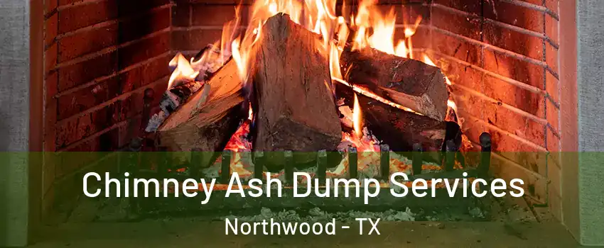 Chimney Ash Dump Services Northwood - TX