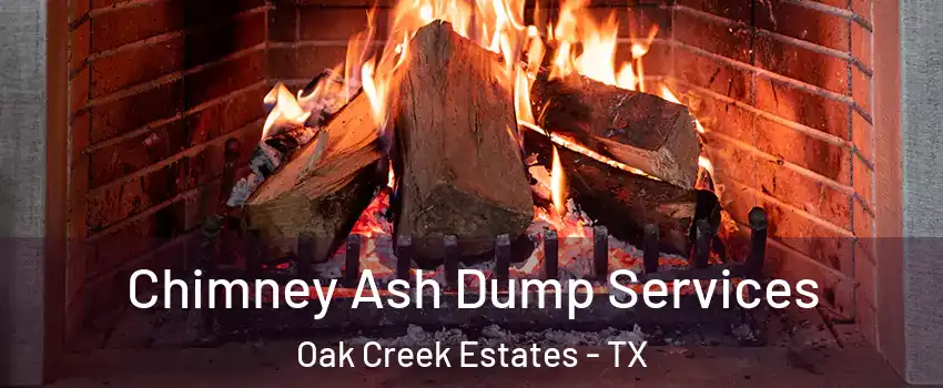 Chimney Ash Dump Services Oak Creek Estates - TX