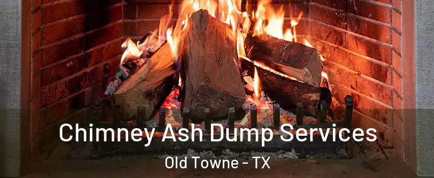 Chimney Ash Dump Services Old Towne - TX