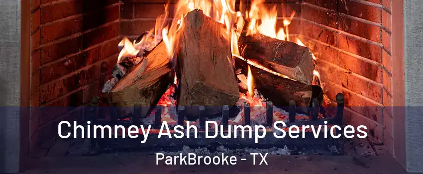 Chimney Ash Dump Services ParkBrooke - TX