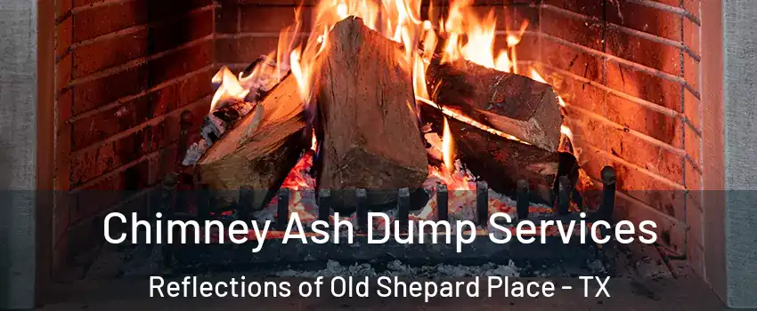 Chimney Ash Dump Services Reflections of Old Shepard Place - TX