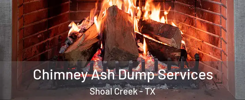 Chimney Ash Dump Services Shoal Creek - TX