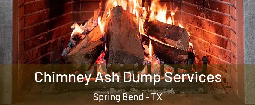 Chimney Ash Dump Services Spring Bend - TX