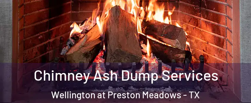 Chimney Ash Dump Services Wellington at Preston Meadows - TX