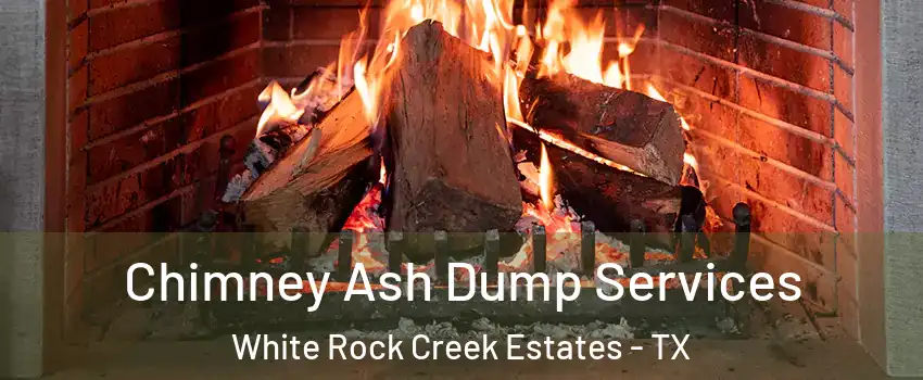 Chimney Ash Dump Services White Rock Creek Estates - TX