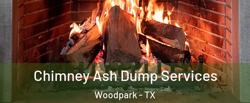 Chimney Ash Dump Services Woodpark - TX