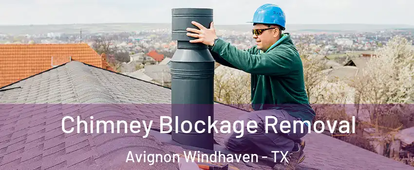 Chimney Blockage Removal Avignon Windhaven - TX