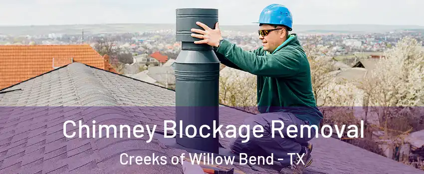 Chimney Blockage Removal Creeks of Willow Bend - TX