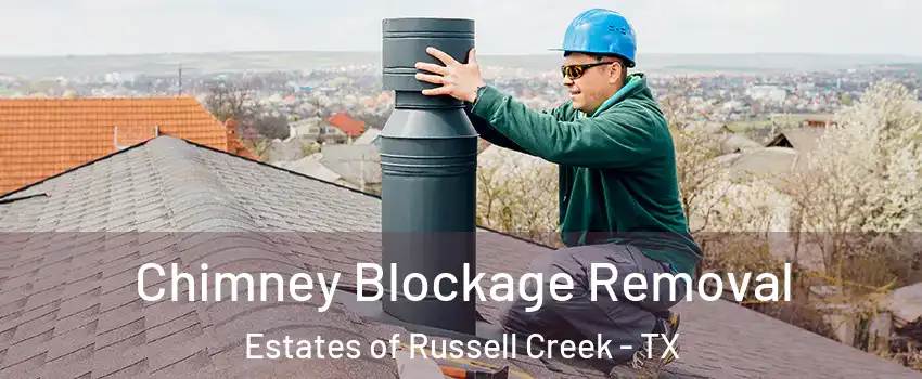 Chimney Blockage Removal Estates of Russell Creek - TX