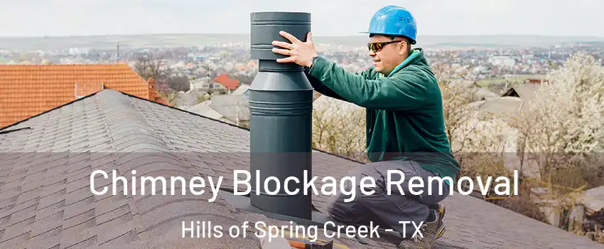 Chimney Blockage Removal Hills of Spring Creek - TX