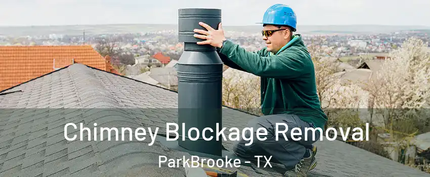 Chimney Blockage Removal ParkBrooke - TX