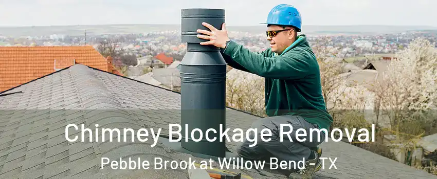 Chimney Blockage Removal Pebble Brook at Willow Bend - TX