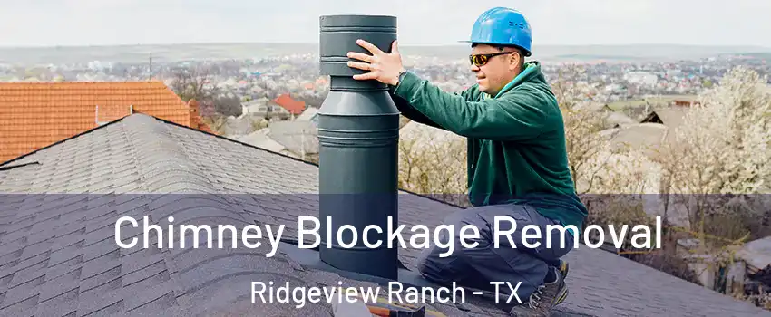 Chimney Blockage Removal Ridgeview Ranch - TX
