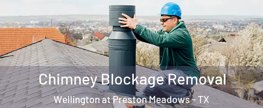 Chimney Blockage Removal Wellington at Preston Meadows - TX