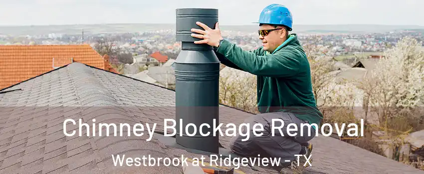 Chimney Blockage Removal Westbrook at Ridgeview - TX