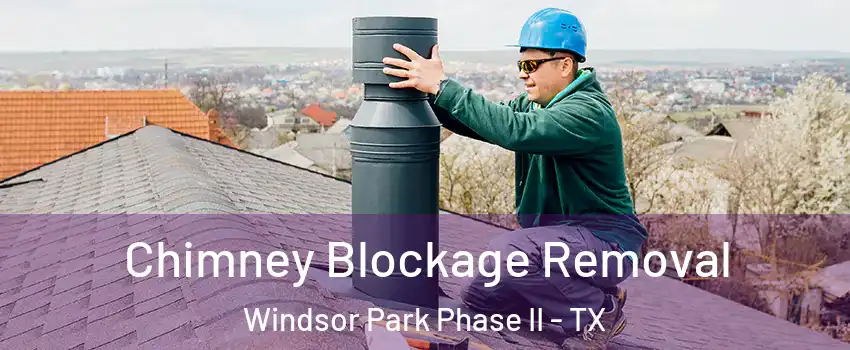 Chimney Blockage Removal Windsor Park Phase II - TX