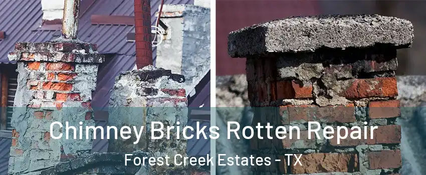 Chimney Bricks Rotten Repair Forest Creek Estates - TX