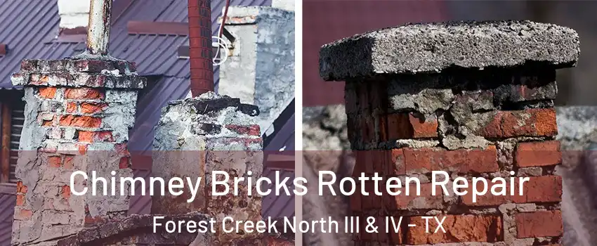 Chimney Bricks Rotten Repair Forest Creek North III & IV - TX