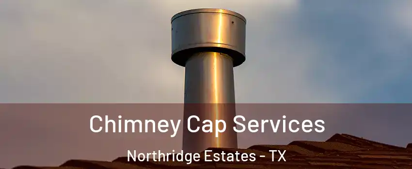Chimney Cap Services Northridge Estates - TX