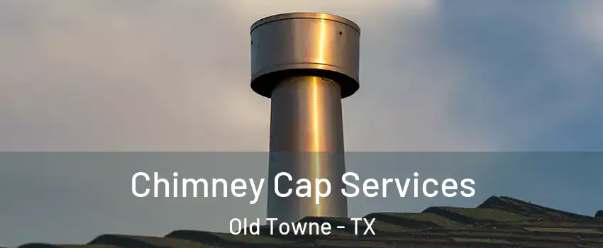 Chimney Cap Services Old Towne - TX