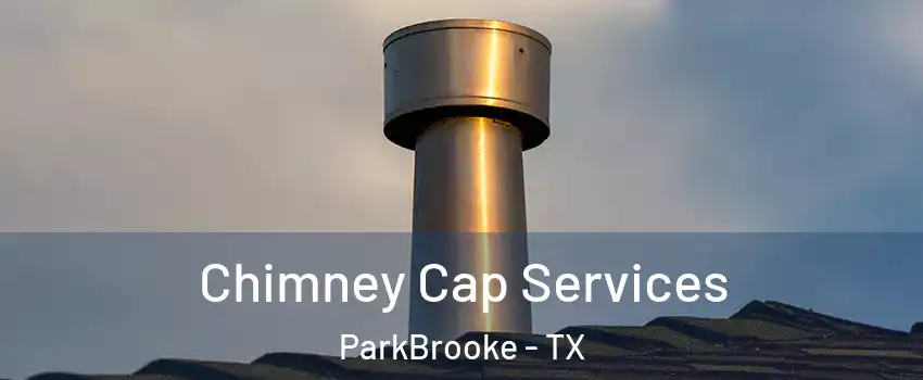 Chimney Cap Services ParkBrooke - TX