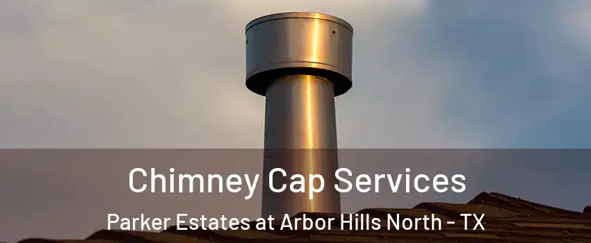 Chimney Cap Services Parker Estates at Arbor Hills North - TX