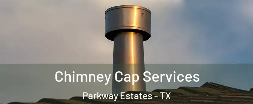 Chimney Cap Services Parkway Estates - TX