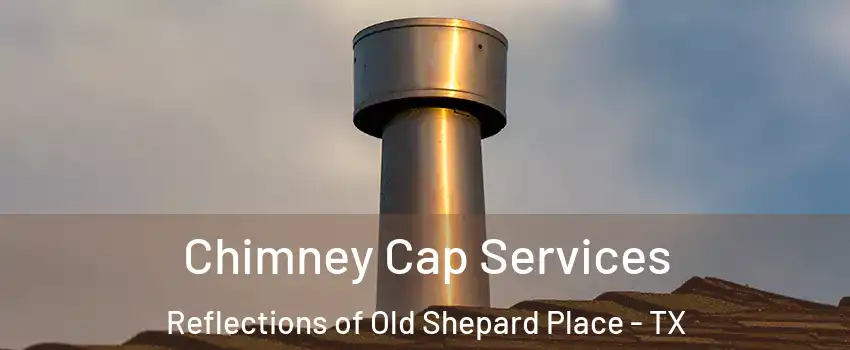 Chimney Cap Services Reflections of Old Shepard Place - TX