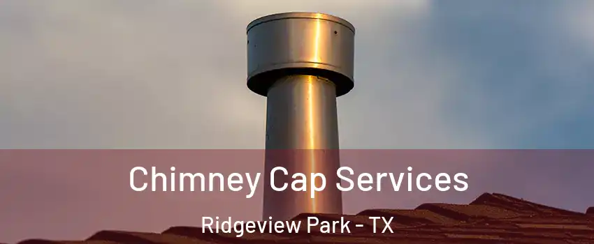 Chimney Cap Services Ridgeview Park - TX