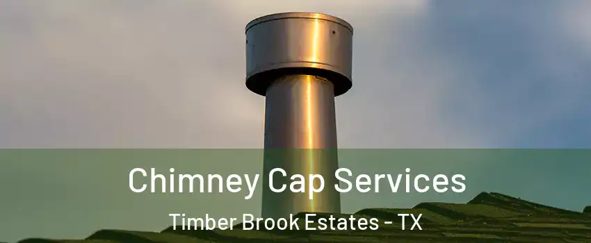 Chimney Cap Services Timber Brook Estates - TX