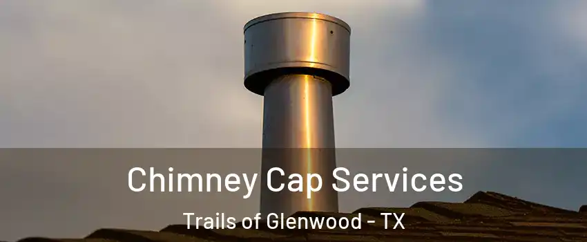 Chimney Cap Services Trails of Glenwood - TX