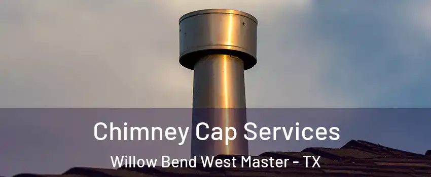 Chimney Cap Services Willow Bend West Master - TX