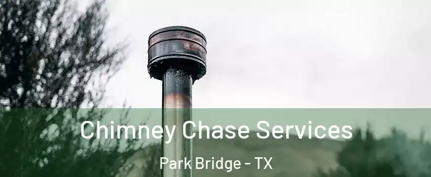 Chimney Chase Services Park Bridge - TX