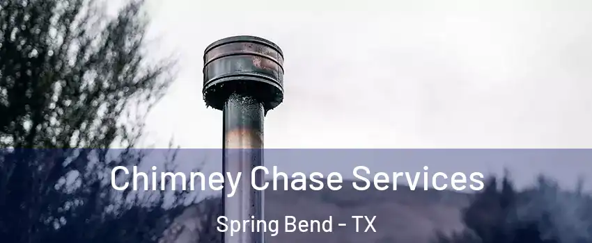 Chimney Chase Services Spring Bend - TX