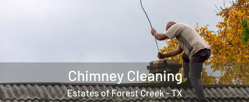 Chimney Cleaning Estates of Forest Creek - TX
