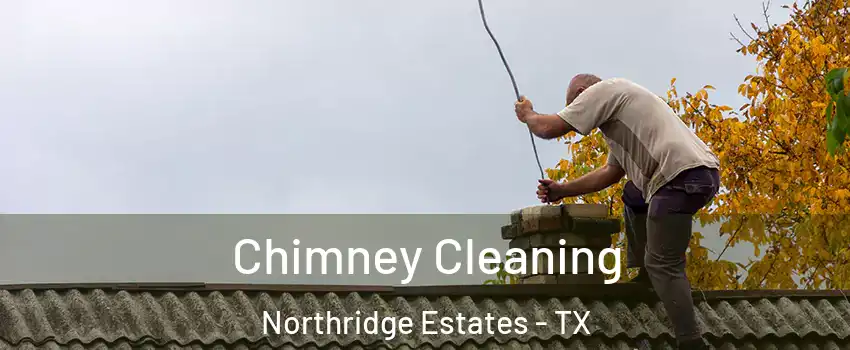 Chimney Cleaning Northridge Estates - TX