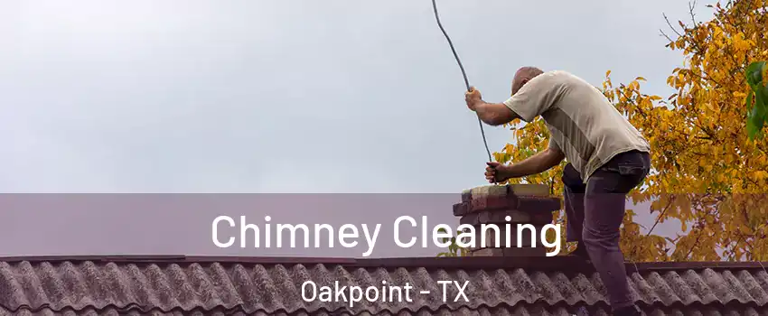Chimney Cleaning Oakpoint - TX