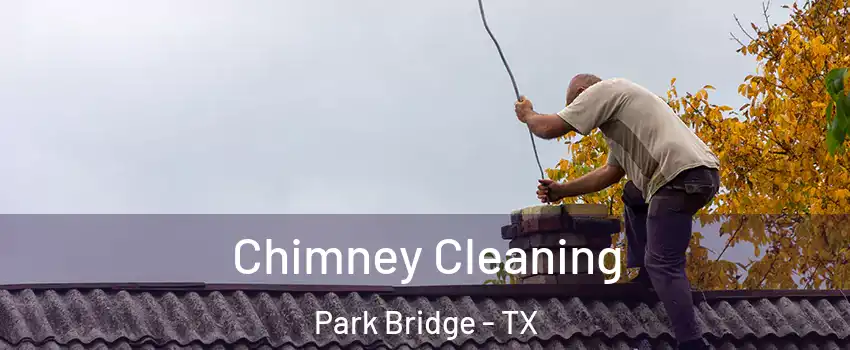 Chimney Cleaning Park Bridge - TX