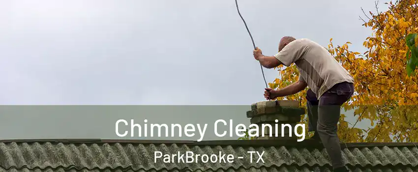 Chimney Cleaning ParkBrooke - TX
