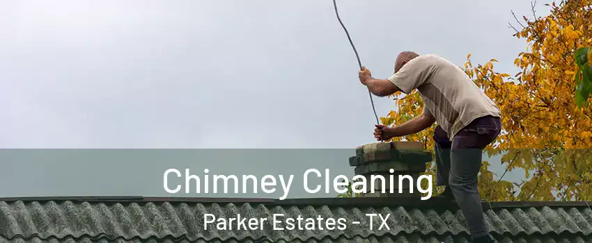Chimney Cleaning Parker Estates - TX