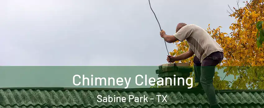 Chimney Cleaning Sabine Park - TX
