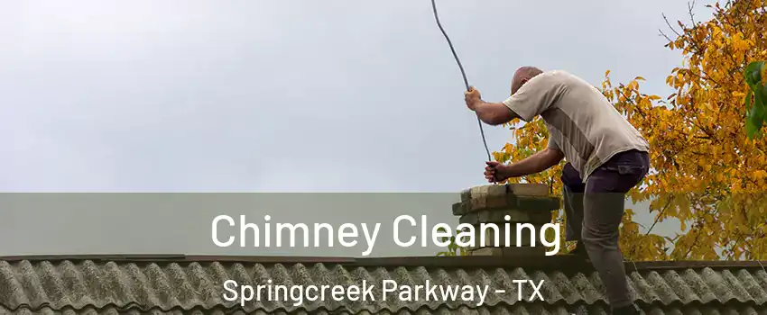 Chimney Cleaning Springcreek Parkway - TX