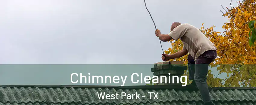Chimney Cleaning West Park - TX