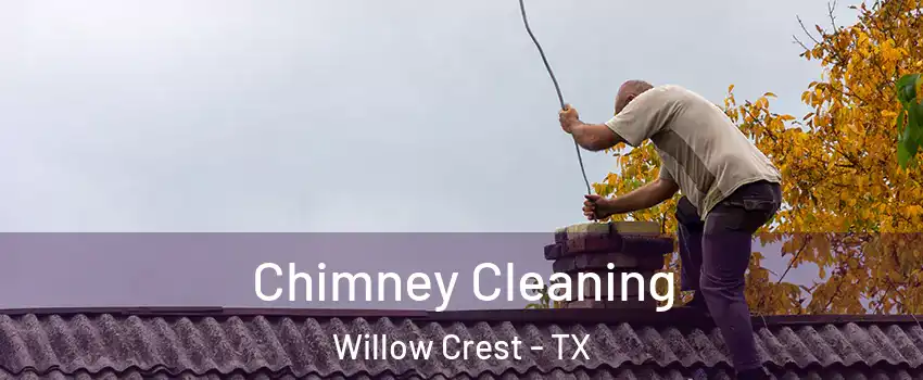Chimney Cleaning Willow Crest - TX