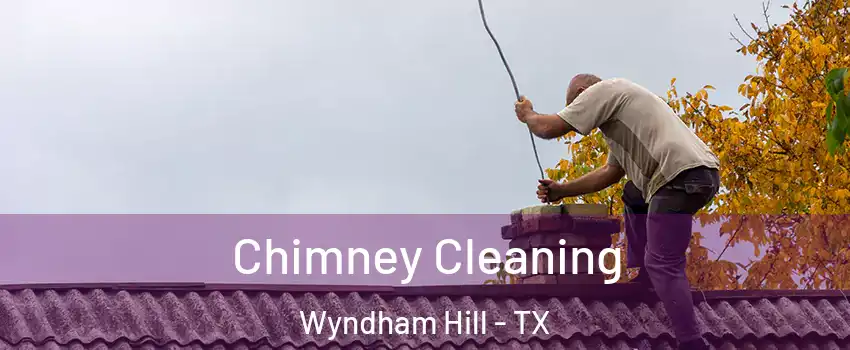 Chimney Cleaning Wyndham Hill - TX