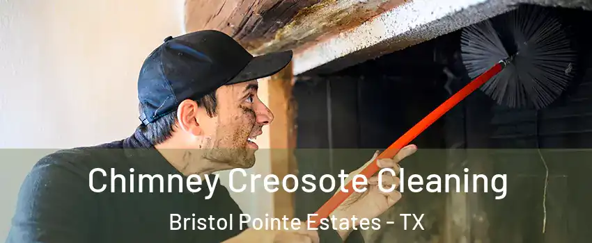 Chimney Creosote Cleaning Bristol Pointe Estates - TX