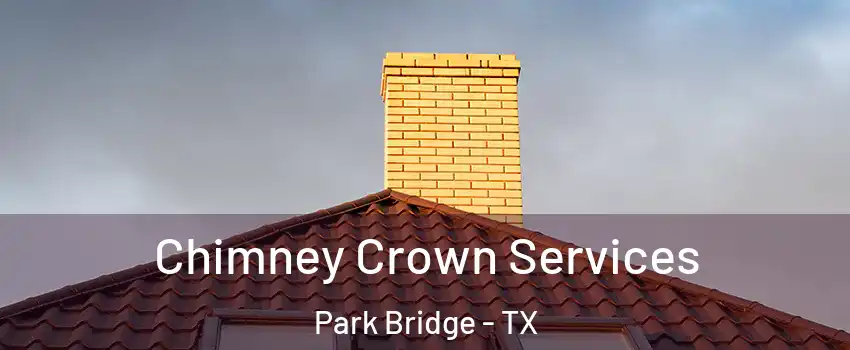 Chimney Crown Services Park Bridge - TX