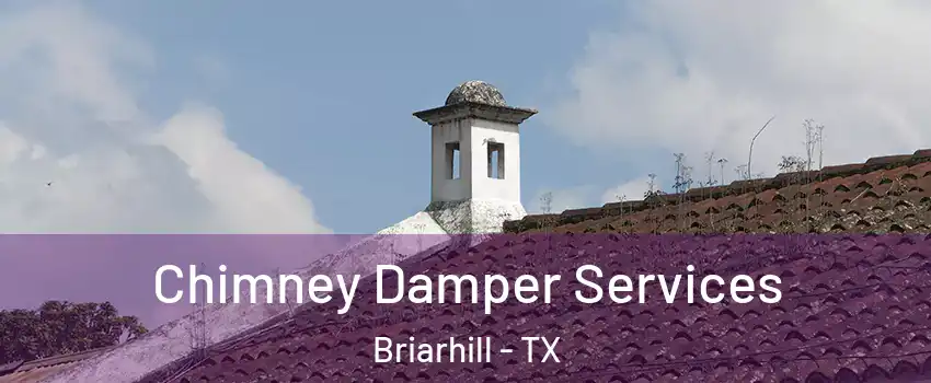 Chimney Damper Services Briarhill - TX