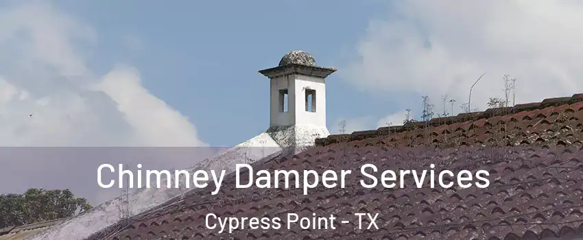 Chimney Damper Services Cypress Point - TX