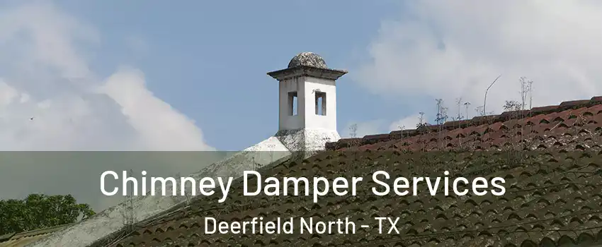 Chimney Damper Services Deerfield North - TX